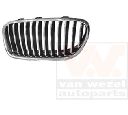 Grila radiator VAN WEZEL 0617513</br>Piesa auto pentru Elemente/Piese montaj