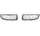 Grila radiator VAN WEZEL 0657515