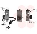 Supapa expansiune, clima VAN WEZEL 53001678