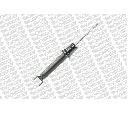 Amortizor MONROE 72495ST</br>Piesa auto pentru Suspensie