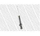 Amortizor MONROE 72496ST</br>Piesa auto pentru Categorii