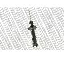 Amortizor MONROE G15029</br>Piesa auto pentru Suspensie