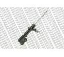 Amortizor MONROE G8138</br>Piesa auto pentru Categorii