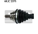 Planetara SKF VKJC 1075