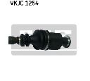 Planetara SKF VKJC 1254