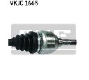 Planetara SKF VKJC 1665