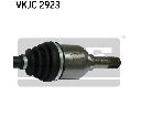 Planetara SKF VKJC 2923