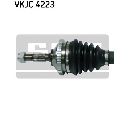 Planetara SKF VKJC 4223