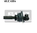 Planetara SKF VKJC 6004</br>Piesa auto pentru Angrenare roata