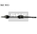 Planetara SKF VKJC 6013