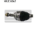 Planetara SKF VKJC 6042