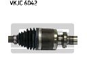 Planetara SKF VKJC 6042