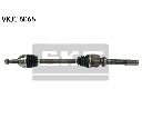 Planetara SKF VKJC 6066