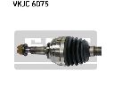 Planetara SKF VKJC 6075