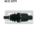 Planetara SKF VKJC 6079</br>Piesa auto pentru Angrenare roata