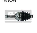 Planetara SKF VKJC 6079</br>Piesa auto pentru Angrenare roata