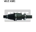 Planetara SKF VKJC 6081
