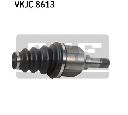 Planetara SKF VKJC 8613</br>Piesa auto pentru Angrenare roata