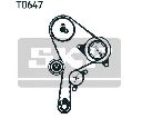 Set curea de distributie SKF VKMA 06008