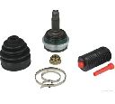 Set articulatie, planetara HERTH+BUSS JAKOPARTS J2824138