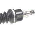 Planetara LÖBRO 303574</br>Piesa auto pentru Angrenare roata