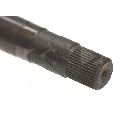 Planetara LÖBRO 304688