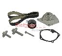 Set pompa apa + curea dintata METZGER WM-Z 5321WP</br>Piesa auto pentru Curea distributie / Rola de tensionare / Rola de ghidare