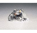 Semnalizator MAGNETI MARELLI 710311328002
